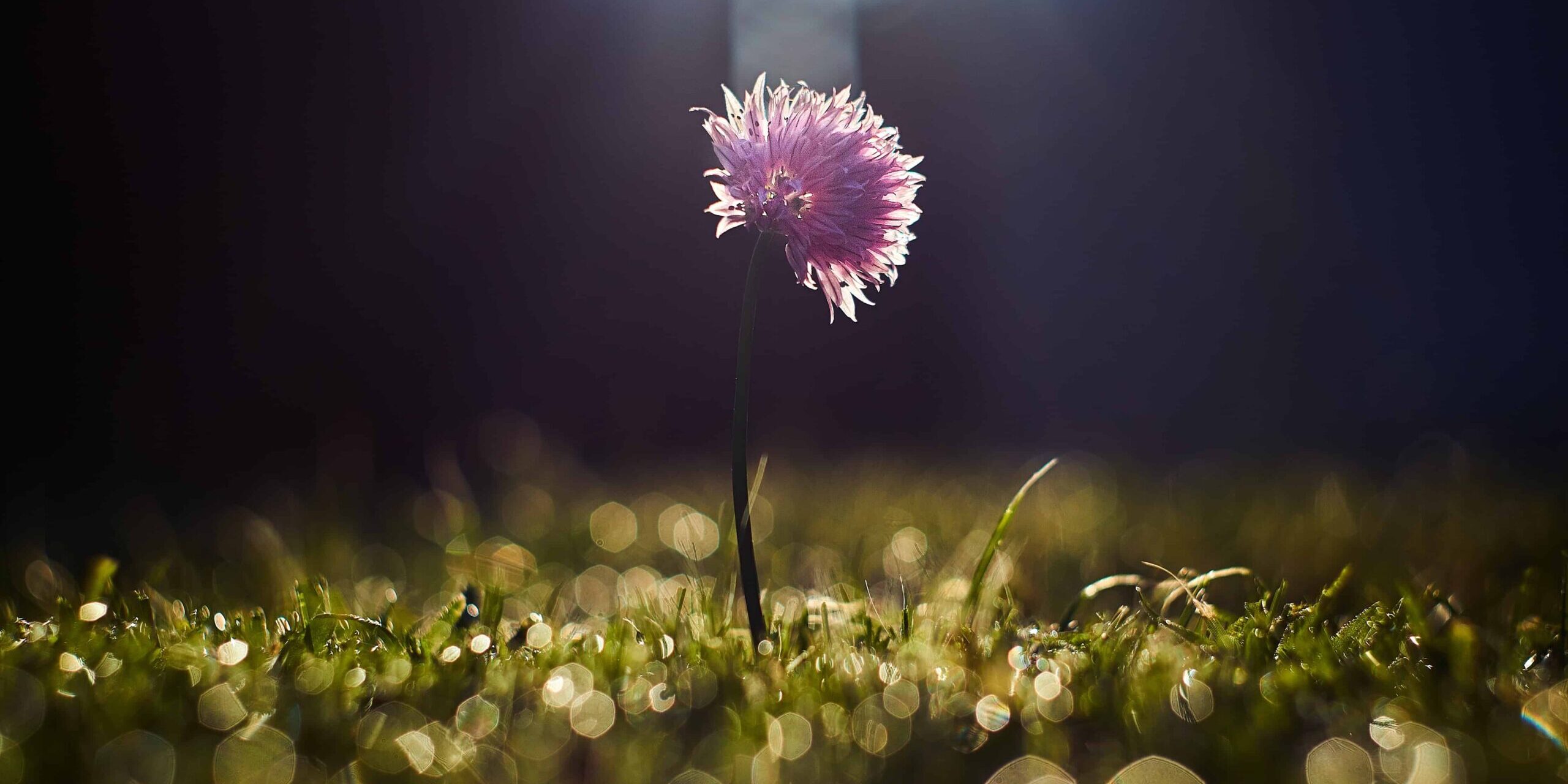 personal growth